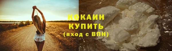 дурь Богданович