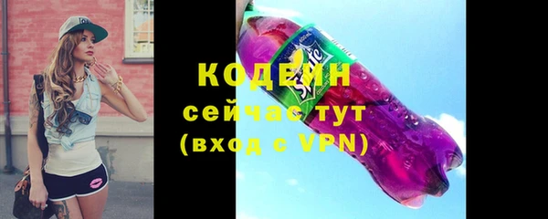 хмурый Богородицк